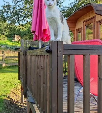 Ma Roulotte Sous Les Chenes 