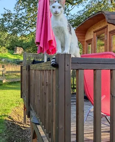 Ma Roulotte Sous Les Chenes 