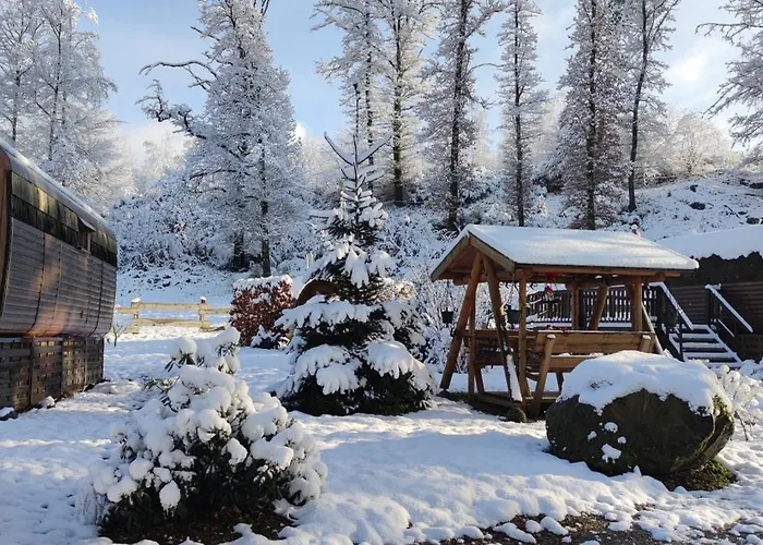 Ma Roulotte Sous Les Chenes 