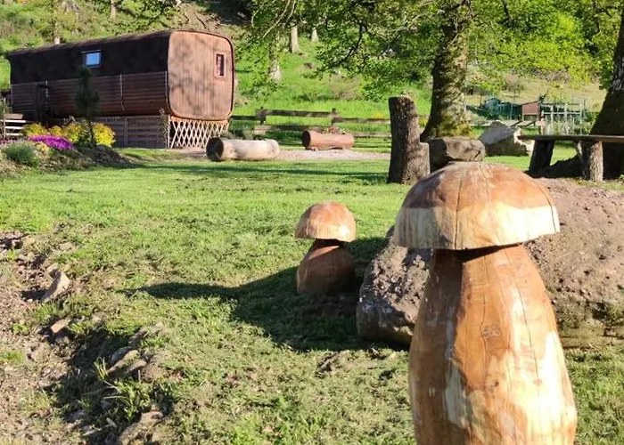 Ma Roulotte Sous Les Chenes 