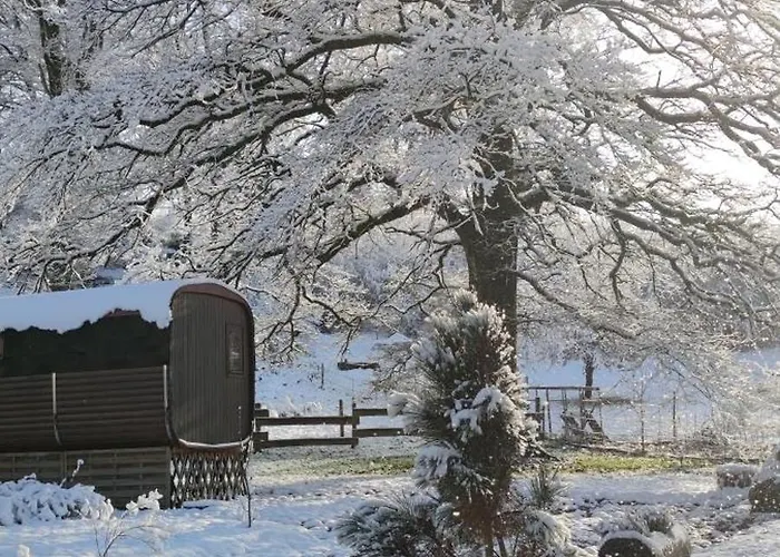 Ma Roulotte Sous Les Chenes 