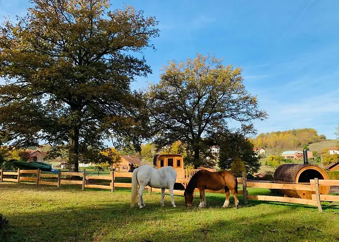 Ma Roulotte Sous Les Chenes 