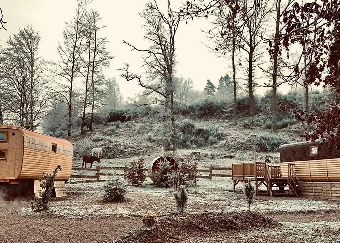 Ma Roulotte Sous Les Chenes 