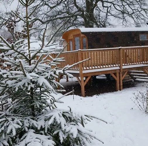 Ma Roulotte Sous Les Chenes 